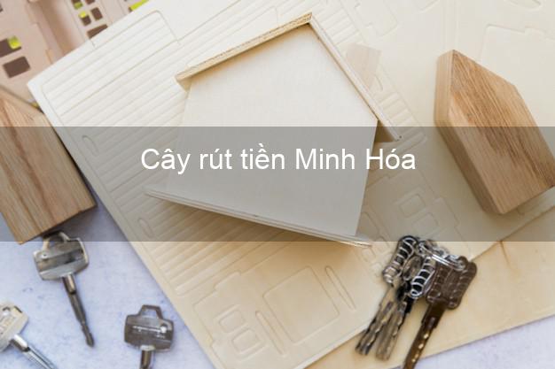 Cây rút tiền Minh Hóa Quảng Bình Cây rút tiền Minh Hóa Quảng Bình