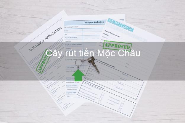 Cây rút tiền Mộc Châu Sơn La Cây rút tiền Mộc Châu Sơn La