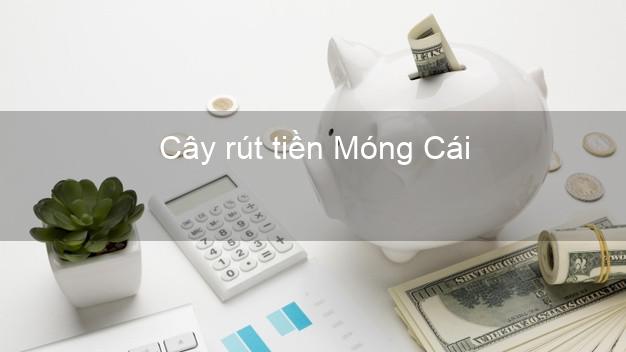 Cây rút tiền Móng Cái Quảng Ninh Cây rút tiền Móng Cái Quảng Ninh