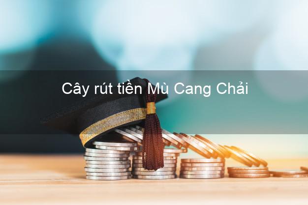 Cây rút tiền Mù Cang Chải Yên Bái Cây rút tiền Mù Cang Chải Yên Bái