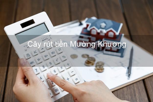 Cây rút tiền Mường Khương Lào Cai Cây rút tiền Mường Khương Lào Cai
