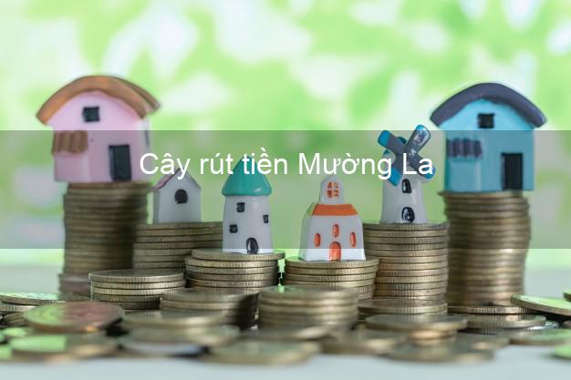 Cây rút tiền Mường La Sơn La