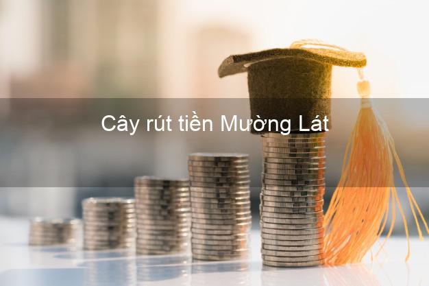 Cây rút tiền Mường Lát Thanh Hóa Cây rút tiền Mường Lát Thanh Hóa