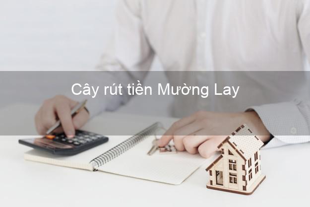 Cây rút tiền Mường Lay Điện Biên Cây rút tiền Mường Lay Điện Biên