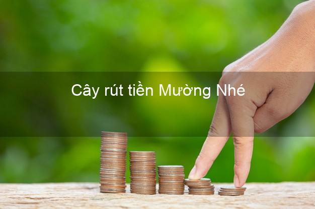 Cây rút tiền Mường Nhé Điện Biên Cây rút tiền Mường Nhé Điện Biên