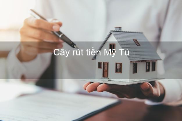 Cây rút tiền Mỹ Tú Sóc Trăng Cây rút tiền Mỹ Tú Sóc Trăng