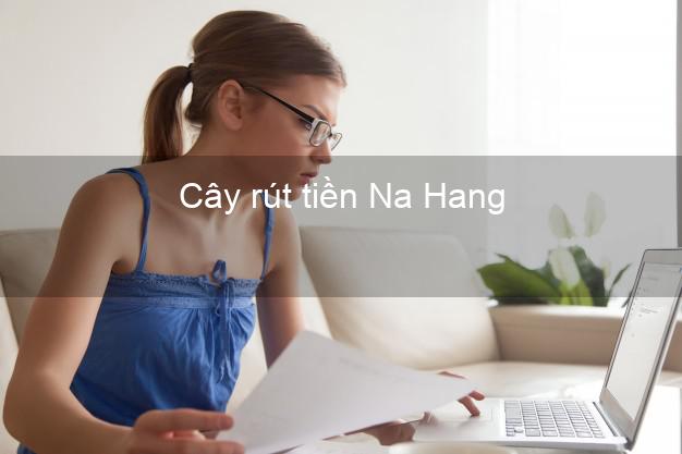 Cây rút tiền Na Hang Tuyên Quang