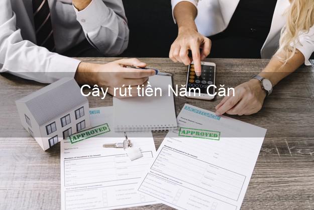 Cây rút tiền Năm Căn Cà Mau Cây rút tiền Năm Căn Cà Mau