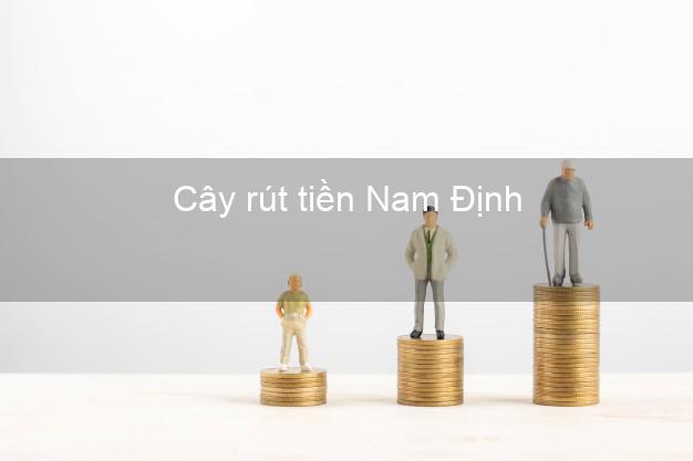 Cây rút tiền Nam Định Cây rút tiền Nam Định