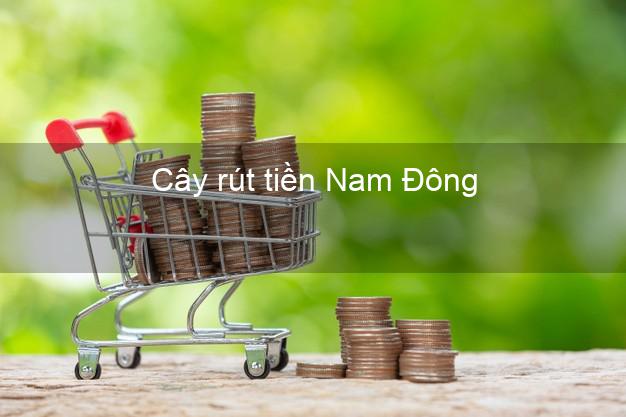 Cây rút tiền Nam Đông Thừa Thiên Huế