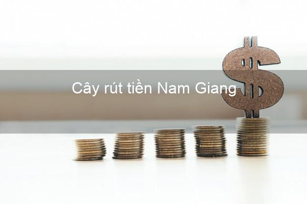 Cây rút tiền Nam Giang Quảng Nam Cây rút tiền Nam Giang Quảng Nam