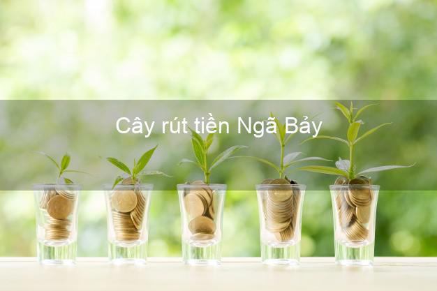 Cây rút tiền Ngã Bảy Hậu Giang Cây rút tiền Ngã Bảy Hậu Giang