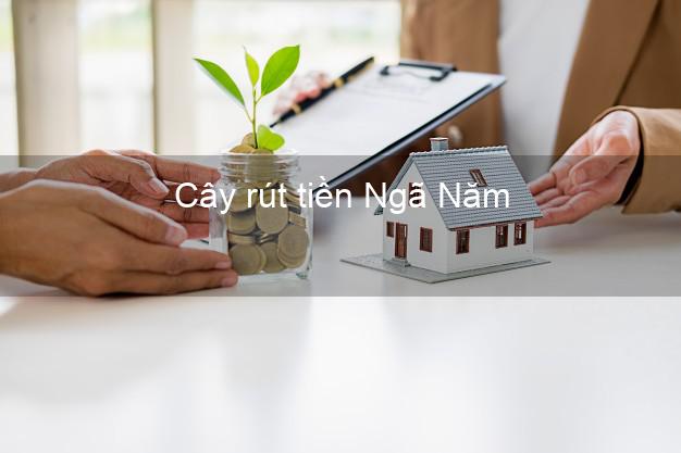 Cây rút tiền Ngã Năm Sóc Trăng