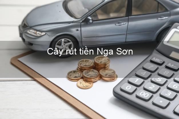 Cây rút tiền Nga Sơn Thanh Hóa Cây rút tiền Nga Sơn Thanh Hóa