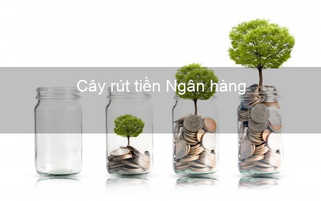 Cây rút tiền Ngân hàng Nhanh nhất Cây rút tiền Ngân hàng Nhanh nhất