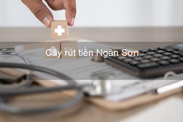 Cây rút tiền Ngân Sơn Bắc Kạn Cây rút tiền Ngân Sơn Bắc Kạn