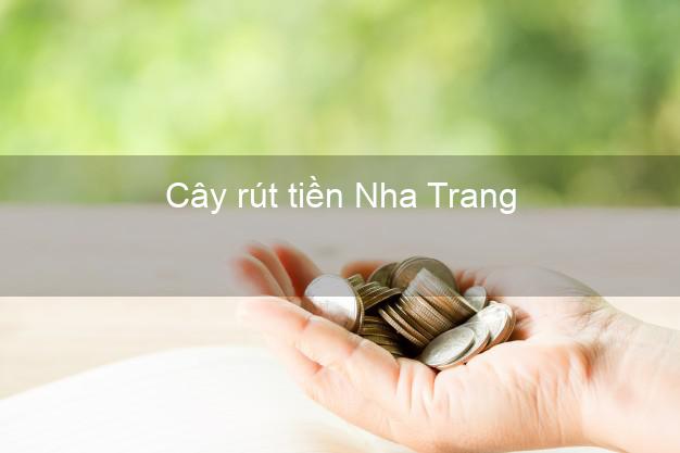 Cây rút tiền Nha Trang Khánh Hòa Cây rút tiền Nha Trang Khánh Hòa