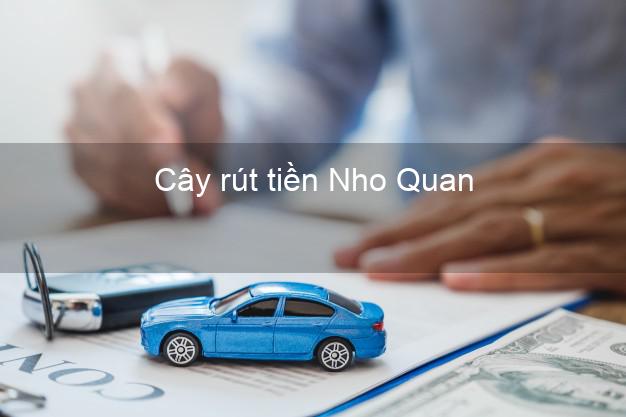 Cây rút tiền Nho Quan Ninh Bình Cây rút tiền Nho Quan Ninh Bình