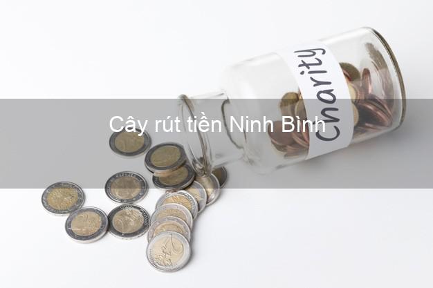 Cây rút tiền Ninh Bình Cây rút tiền Ninh Bình