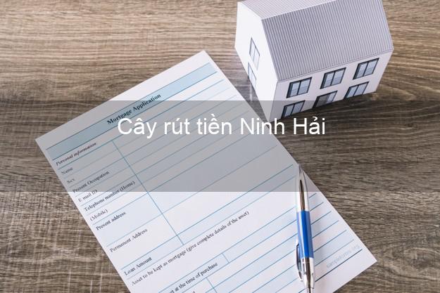Cây rút tiền Ninh Hải Ninh Thuận