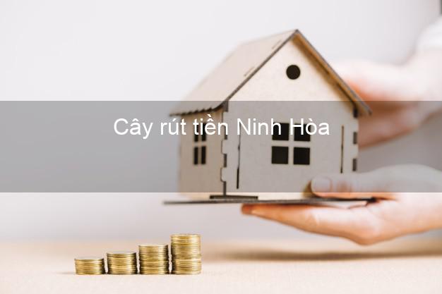 Cây rút tiền Ninh Hòa Khánh Hòa Cây rút tiền Ninh Hòa Khánh Hòa