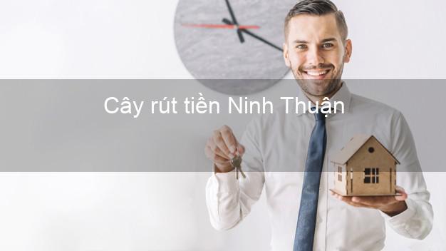 Cây rút tiền Ninh Thuận Cây rút tiền Ninh Thuận