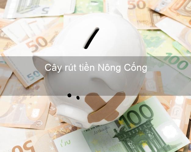 Cây rút tiền Nông Cống Thanh Hóa Cây rút tiền Nông Cống Thanh Hóa