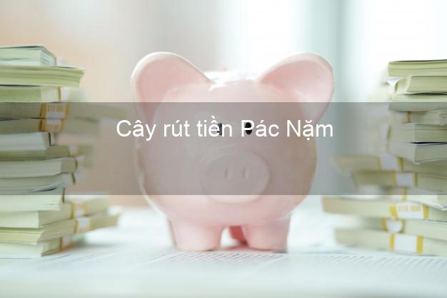 Cây rút tiền Pác Nặm Bắc Kạn