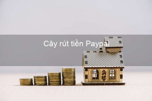 Cây rút tiền Paypal Online Cây rút tiền Paypal Online