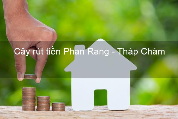 Cây rút tiền Phan Rang - Tháp Chàm Ninh Thuận Cây rút tiền Phan Rang - Tháp Chàm Ninh Thuận