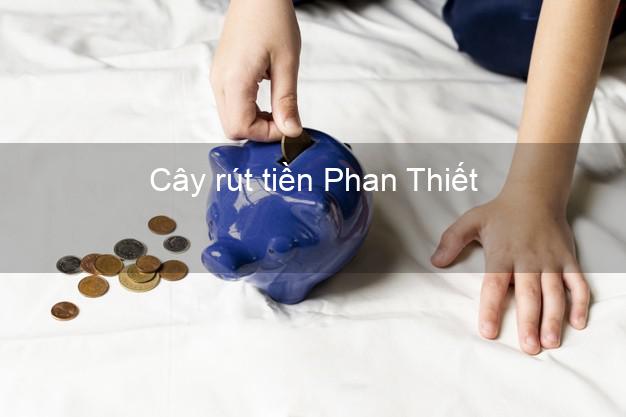 Cây rút tiền Phan Thiết Bình Thuận Cây rút tiền Phan Thiết Bình Thuận
