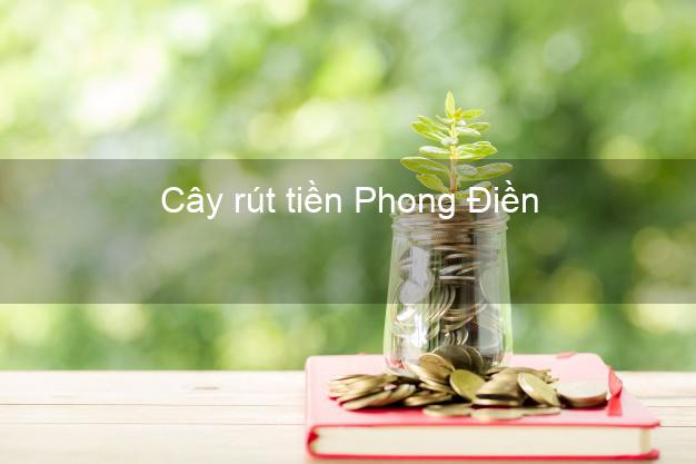Cây rút tiền Phong Điền Thừa Thiên Huế