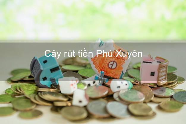 Cây rút tiền Phú Xuyên Hà Nội Cây rút tiền Phú Xuyên Hà Nội