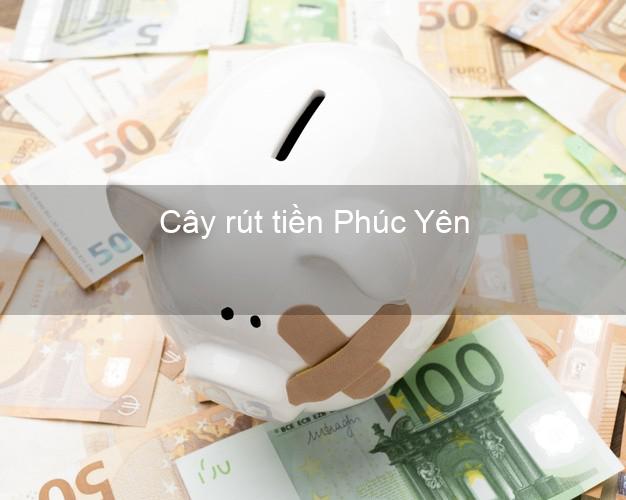 Cây rút tiền Phúc Yên Vĩnh Phúc Cây rút tiền Phúc Yên Vĩnh Phúc