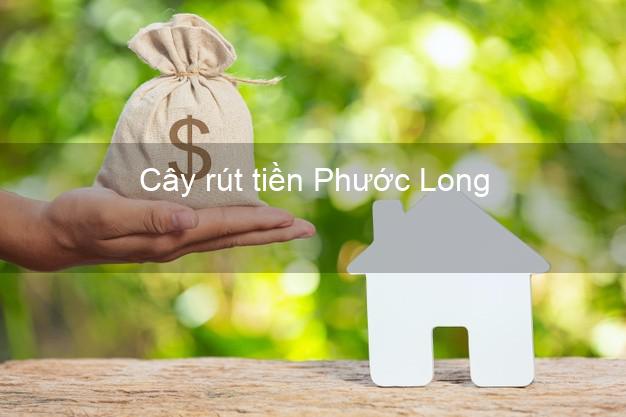 Cây rút tiền Phước Long Bình Phước