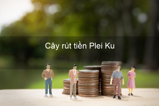 Cây rút tiền Plei Ku Gia Lai Cây rút tiền Plei Ku Gia Lai