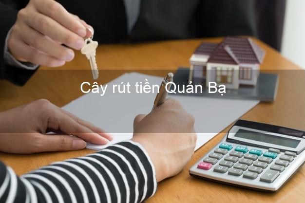 Cây rút tiền Quản Bạ Hà Giang Cây rút tiền Quản Bạ Hà Giang