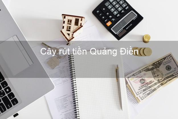 Cây rút tiền Quảng Điền Thừa Thiên Huế Cây rút tiền Quảng Điền Thừa Thiên Huế