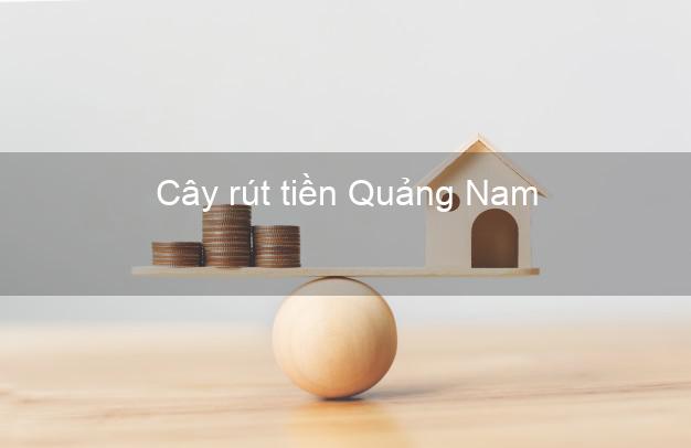 Cây rút tiền Quảng Nam Cây rút tiền Quảng Nam