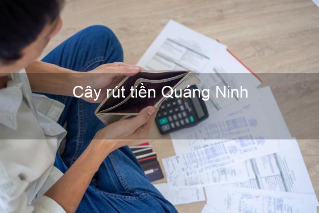Cây rút tiền Quảng Ninh Quảng Bình Cây rút tiền Quảng Ninh Quảng Bình