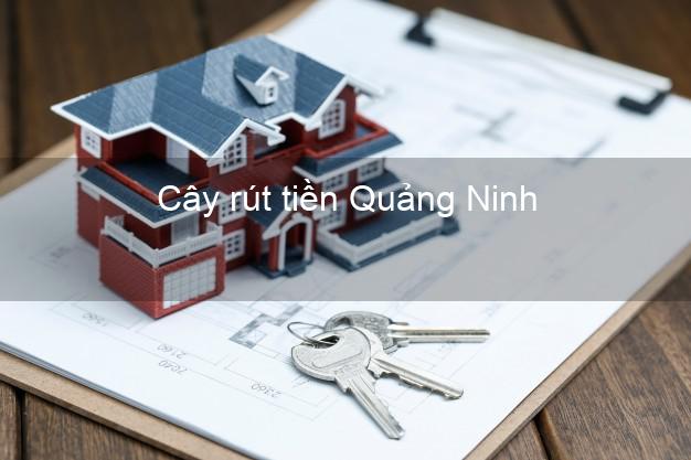 Cây rút tiền Quảng Ninh Cây rút tiền Quảng Ninh