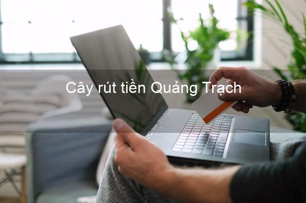 Cây rút tiền Quảng Trạch Quảng Bình Cây rút tiền Quảng Trạch Quảng Bình
