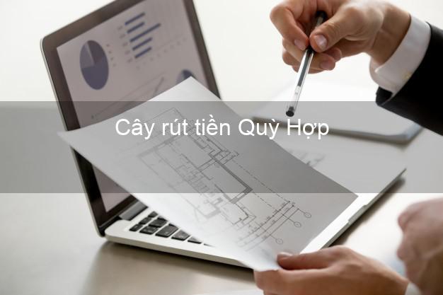 Cây rút tiền Quỳ Hợp Nghệ An Cây rút tiền Quỳ Hợp Nghệ An