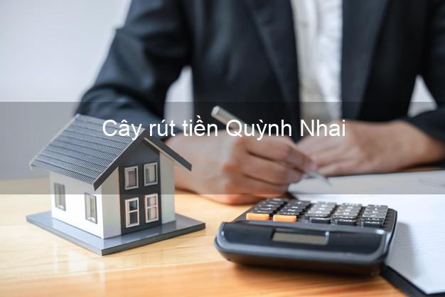 Cây rút tiền Quỳnh Nhai Sơn La Cây rút tiền Quỳnh Nhai Sơn La