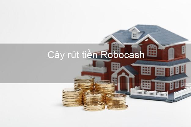 Cây rút tiền Robocash Online Cây rút tiền Robocash Online