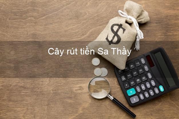 Cây rút tiền Sa Thầy Kon Tum Cây rút tiền Sa Thầy Kon Tum