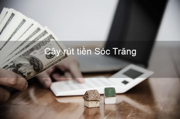Cây rút tiền Sóc Trăng Cây rút tiền Sóc Trăng