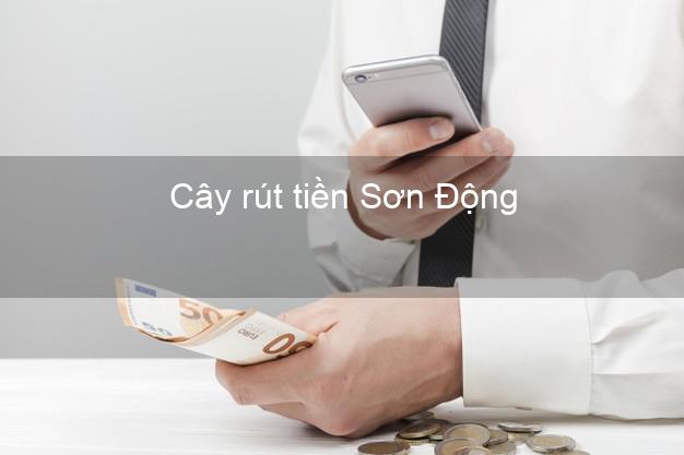 Cây rút tiền Sơn Động Bắc Giang Cây rút tiền Sơn Động Bắc Giang