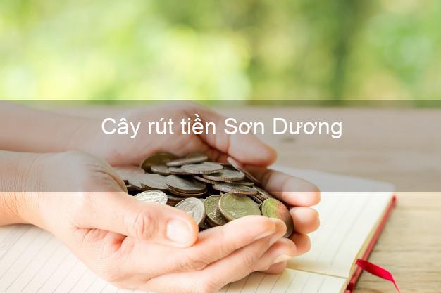 Cây rút tiền Sơn Dương Tuyên Quang Cây rút tiền Sơn Dương Tuyên Quang