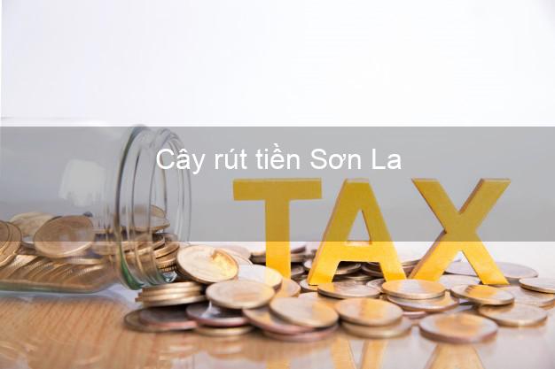 Cây rút tiền Sơn La Cây rút tiền Sơn La